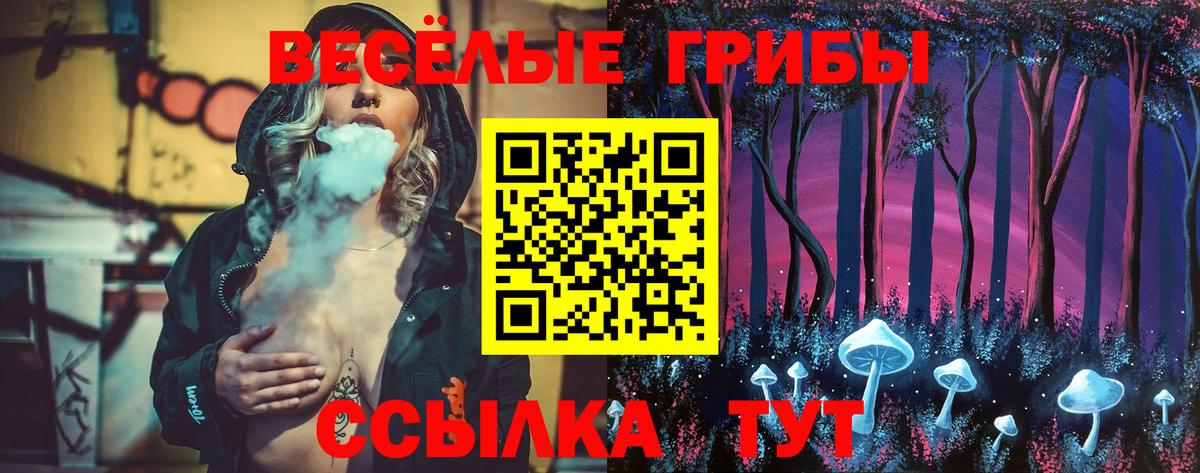 Псилоцибиновые грибы мухоморы Новоалтайск